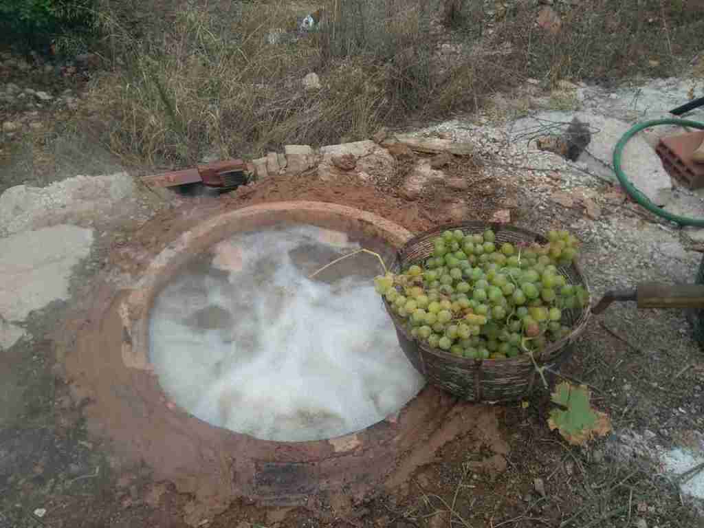 La uva pasa: historia viva del Mediterráneo y alma dulce de nuestros&nbsp;viñedos
